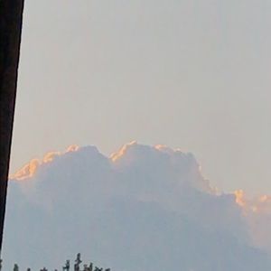 Meet your Posher, Annie